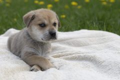 Tanjas-Bande-23-scaled