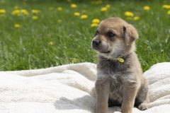 Tanjas-Bande-31-scaled