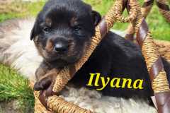 Ilyana-2025-05-10-at-17.06.522
