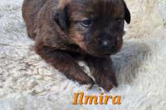 Ilmira-2025-05-10-at-17.06.524