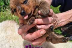 Ilvy-2025-05-10-at-17.06.53