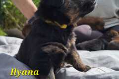 Ilyana-2025-05-10-at-17.06.531