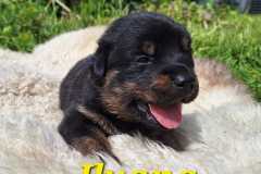 Ilyana-2025-05-10-at-17.06.533