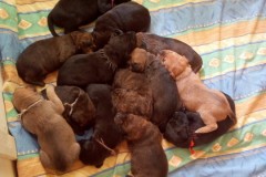 signal-2019-05-23-082107